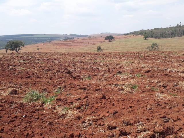 #40 - Fazenda para Venda em Piraju - SP - 3