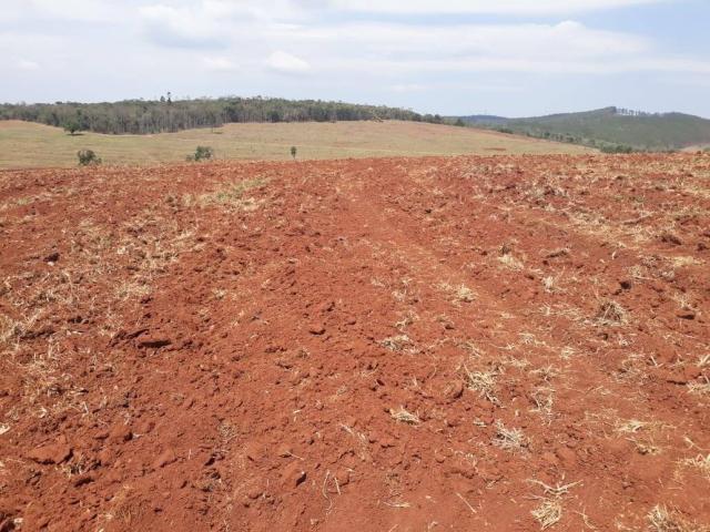 #40 - Fazenda para Venda em Piraju - SP - 2