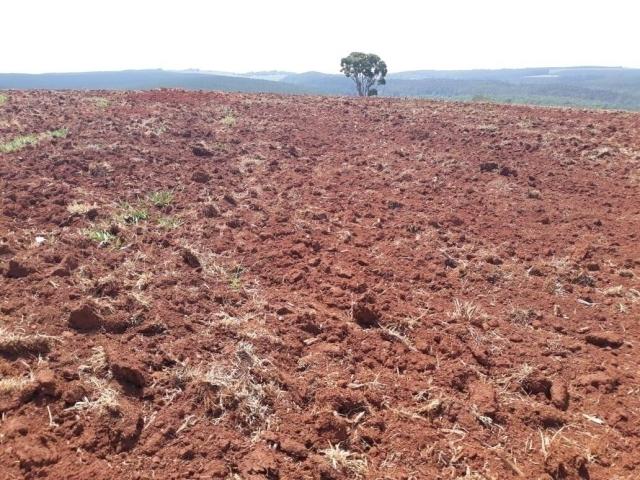 #40 - Fazenda para Venda em Piraju - SP - 1