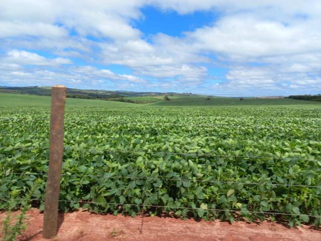 #69 - Fazenda para Venda em Piraju - SP