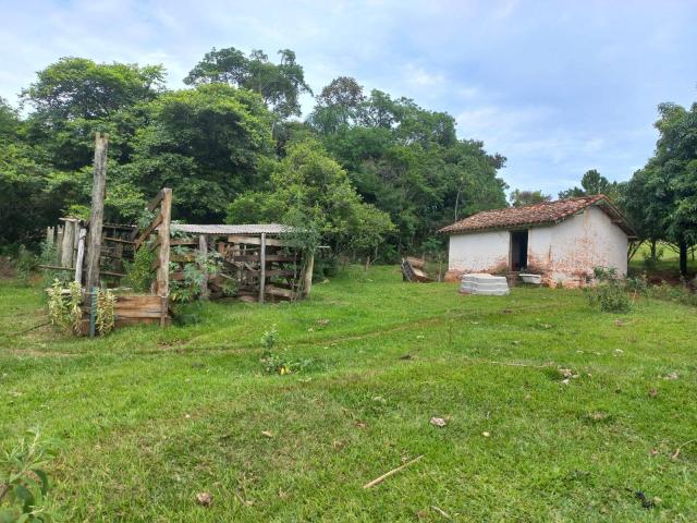 #166 - Fazenda para Venda em Timburi - SP - 3